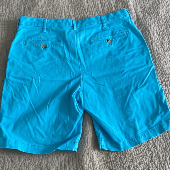 Pale blue Izod Saltwater Stretch Shorts. 32 waist 9.5 inseam - Picture 3 of 3